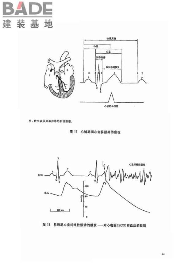 电流对人和家畜的效应第1部分：通用部分_页面_28.jpg