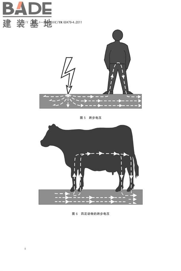 电流对人和家畜的效应第4部分：雷击效应_页面_12.jpg