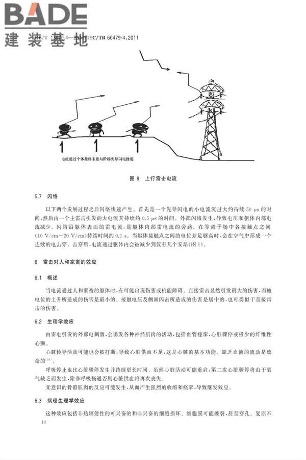 电流对人和家畜的效应第4部分：雷击效应_页面_14.jpg