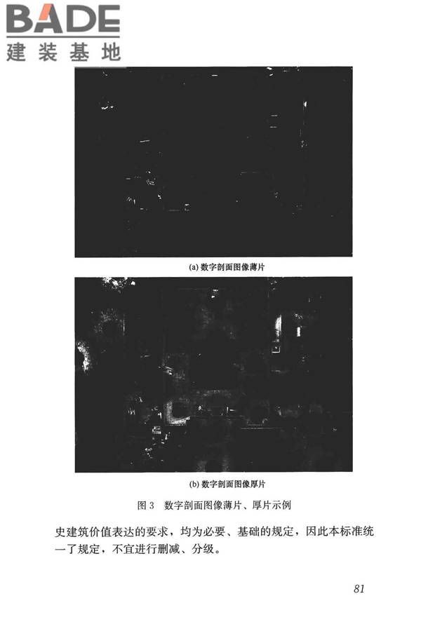 历史建筑数字化技术标准_页面_91.jpg